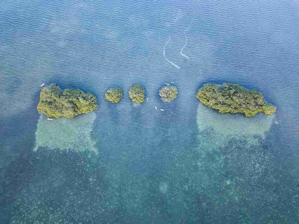 Shipstern Nature Reserve Belize