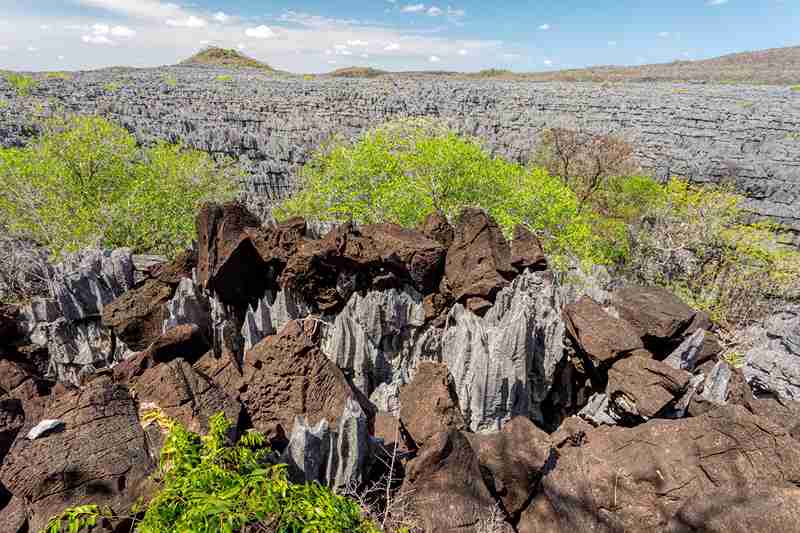 Ankarana Nationalpark Madagaskar