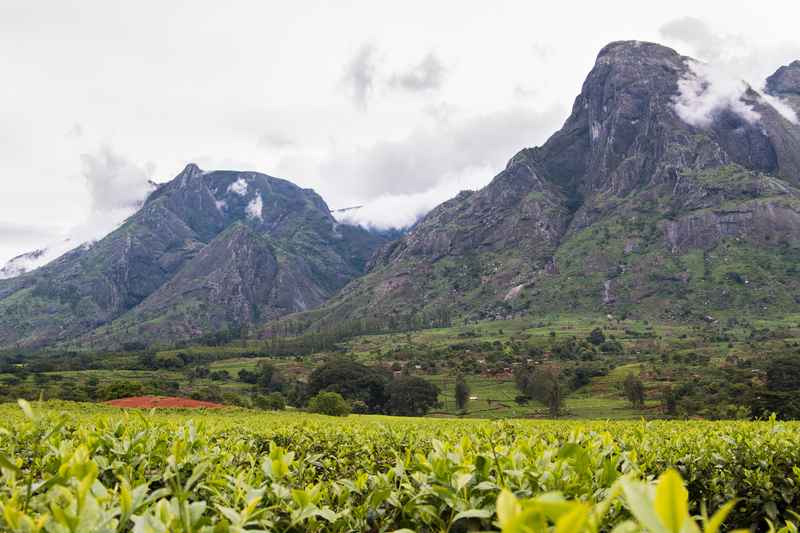 Mount Mulanje Malawi