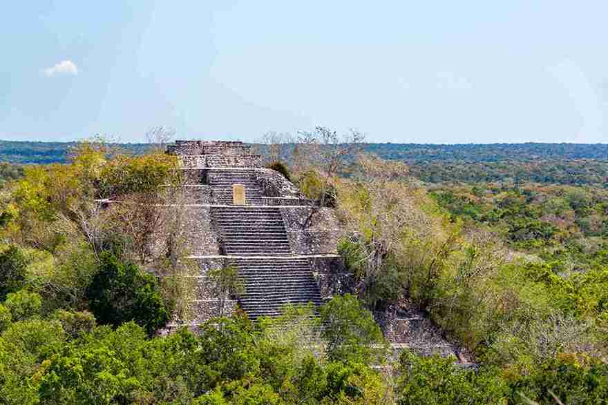 Calakmul Maya Stadt Mexiko